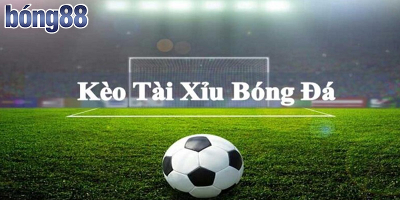 Đá Gà Bong88 - Cách Đặt Cược Chuyên Nghiệp Của Cao Thủ Bong88